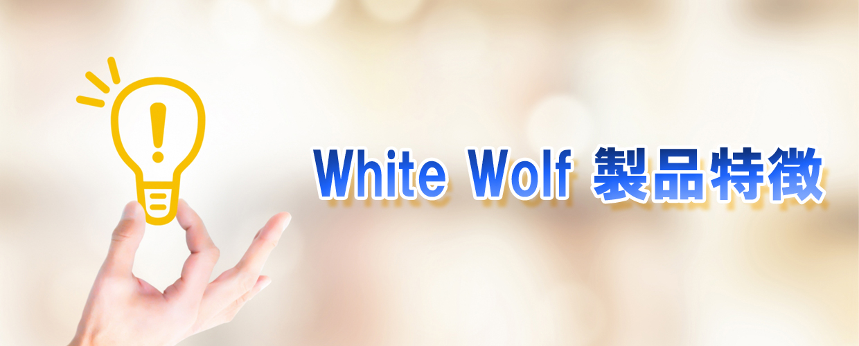 ハイブリッドドライアイス洗浄機White Wolf製品特徴